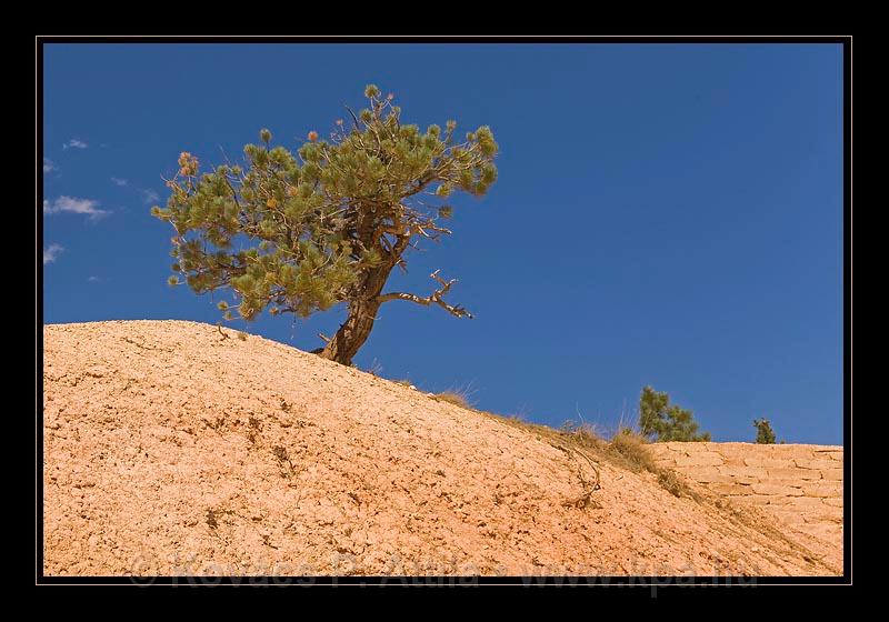 Bryce Canyon 13.jpg